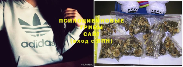 МДПВ Аркадак