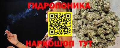 МДПВ Вышний Волочёк
