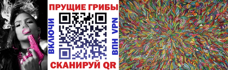 Галлюциногенные грибы GOLDEN TEACHER Белгород