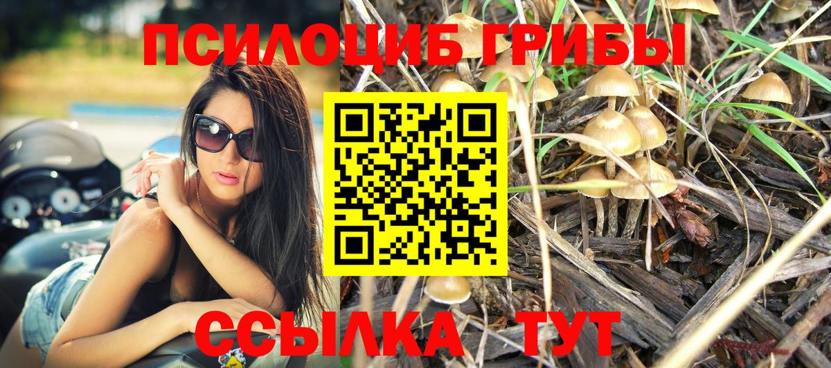 Галлюциногенные грибы MAGIC MUSHROOMS  Вход с VPN  Белгород 