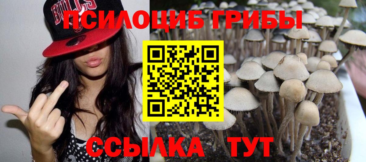 Псилоцибиновые грибы Magic Shrooms Белгород